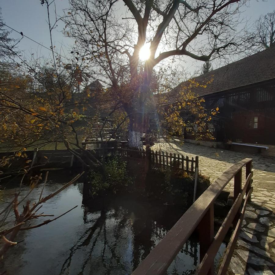 Guesthouse Pod Rastockim Krovom 斯诺基 外观 照片