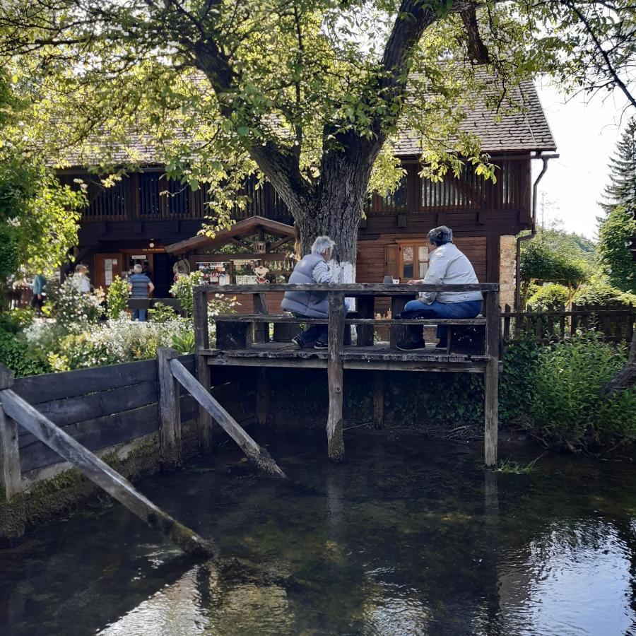 Guesthouse Pod Rastockim Krovom 斯诺基 外观 照片