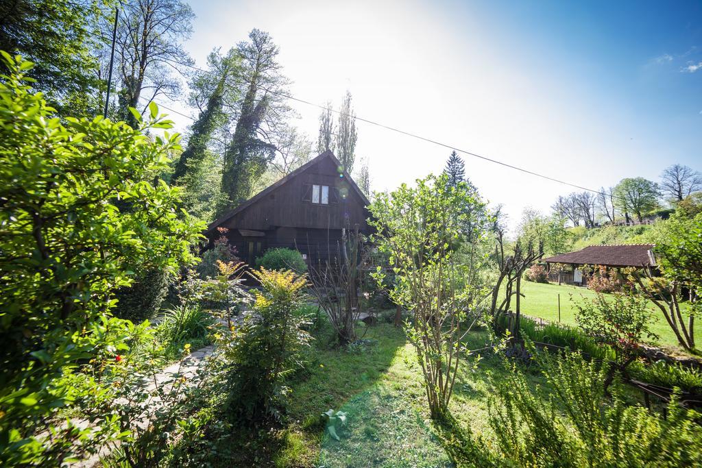 Guesthouse Pod Rastockim Krovom 斯诺基 外观 照片